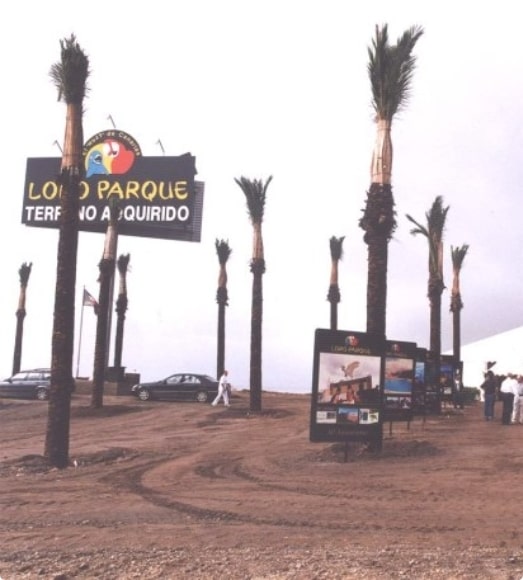 foto inicios loro parque terreno