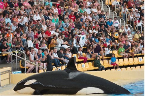 Orcas Loro Parque